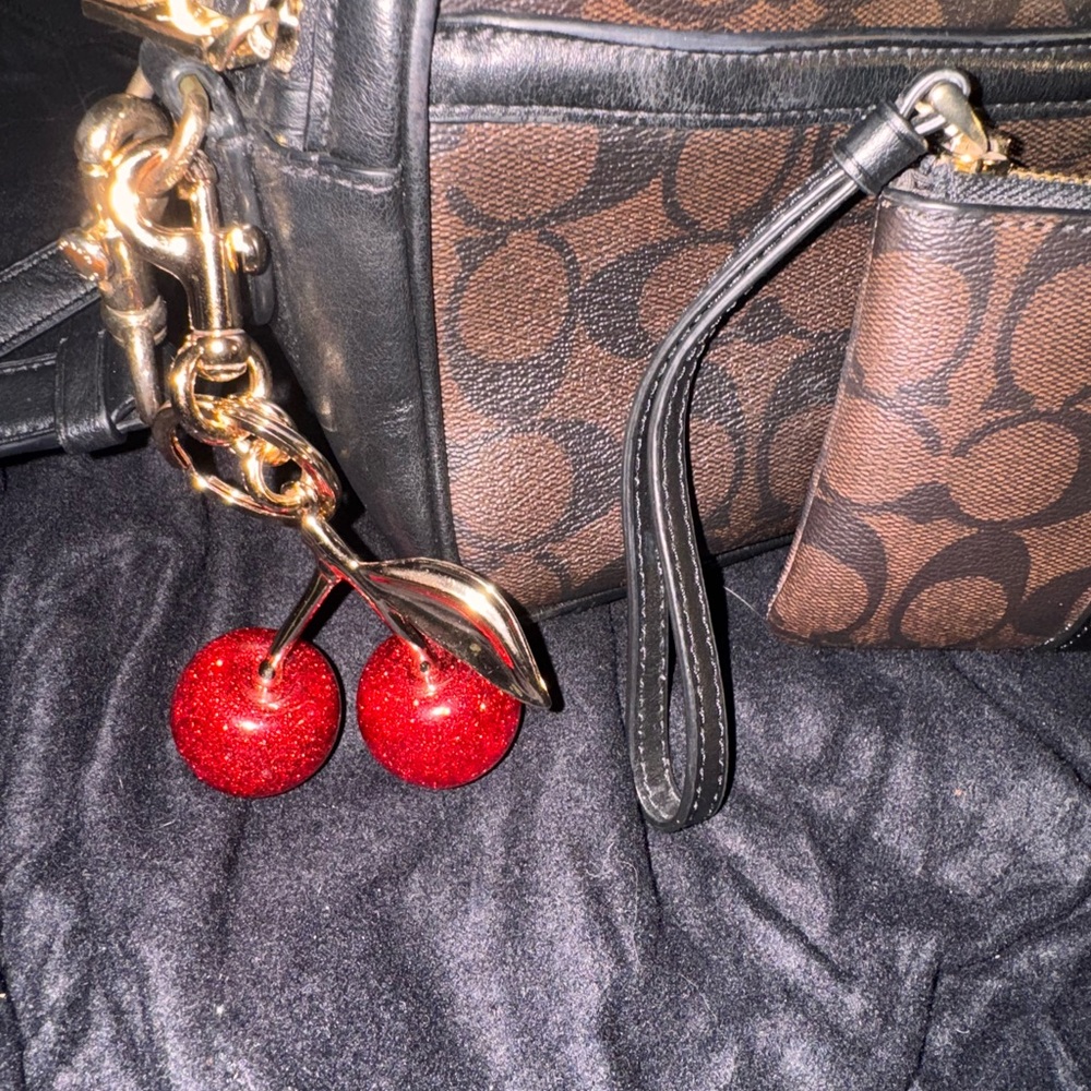 Coach Brown and Black Crossbody Bag with Red Charm
